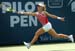 Dementieva 2