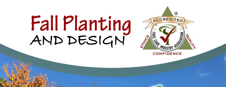 Fall Planting and Design
