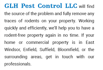 GLH Pest Control LLC will find...