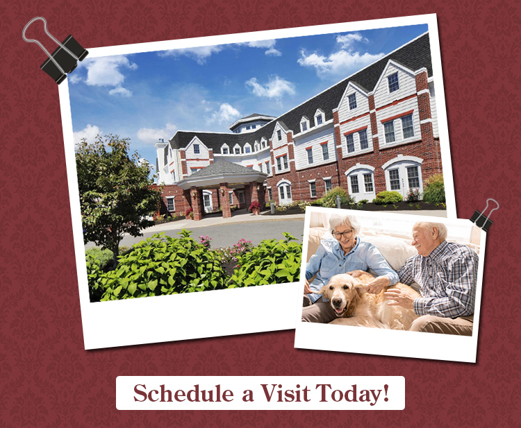 Schedule a Visit Today!