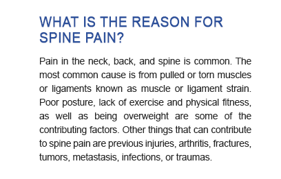 WHAT IS THE REASON FOR SPINE PAIN? 